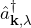 \[ \hat{a}^\dagger_{\mathbf{k},\lambda}  \]
