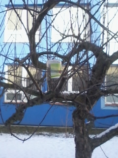 krmítko