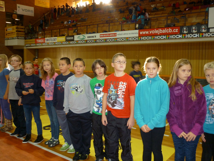 obrázek 1